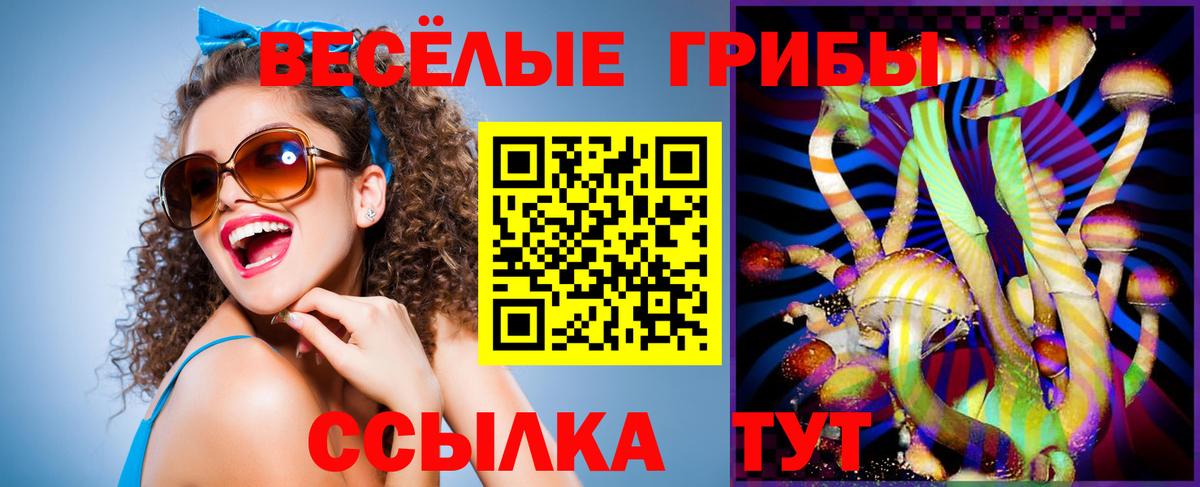 Галлюциногенные грибы прущие грибы Киров