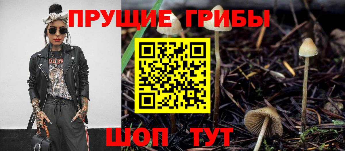 Галлюциногенные грибы мицелий  Вход с VPN  Киров  Галлюциногенные грибы мицелий 