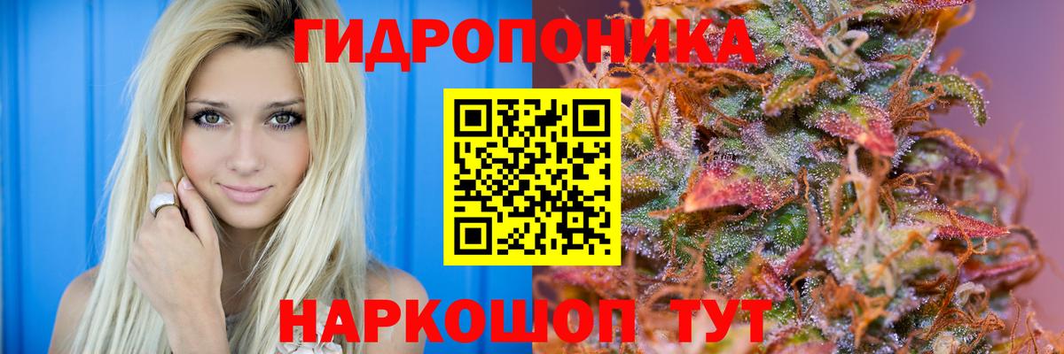 Бошки марихуана White Widow Киров